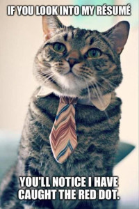 Job App Cat: If you look into my resume, you'll see I've caught the red dot.